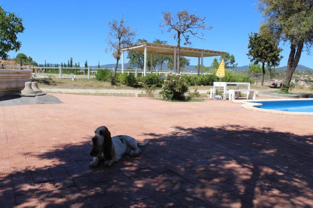 ホテル Rocaplana Club De Campo ビラ＝ルドーナ エクステリア 写真